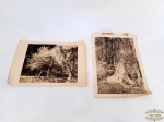 2 Gravuras Assinadas Representando Natureza. Assinatura Não Identificada . Medidas 42 cm x 30 cm.
