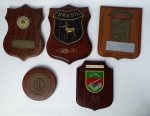 Militaria  - Cinco Placas / Escudos em madeira,  pertencentes ao General do Exercito Brasileiro, Carlos Tinoco Ribeiro Gomes (1928 - 2018).  Medindo menor; 11 cm e maior: 20x15cm.
