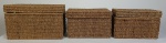 Três cestas organizadoras em vime. Medindo : 23 X 36 X 28 cm e 20 X 30 X 26 cm.