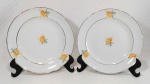 PORCELANA REAL S. PAULO - Par de pratos dito rasos em porcelana branca decorada por flores amarelas e ramagens em policromia além de filetação dourada nas bordas. Medem 24 cm de diâmetro cada.