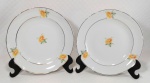 PORCELANA REAL S. PAULO - Par de pratos dito rasos em porcelana branca decorada por flores amarelas e ramagens em policromia além de filetação dourada nas bordas. Medem 24 cm de diâmetro cada.