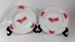 PORCELANA REAL S. PAULO - Par de pratos dito fundos em porcelana branca decorada por rosas e ramagens em policromia além de filetação dourada nas bordas. Medem 23 cm de diâmetro cada.