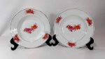 PORCELANA REAL S. PAULO - Par de pratos dito fundos em porcelana branca decorada por rosas e ramagens em policromia além de filetação dourada nas bordas. Medem 23 cm de diâmetro cada.