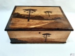 Caixa retangular em madeira marchetada. Medindo 31cm x 23,5cm x 11,5cm de altura.