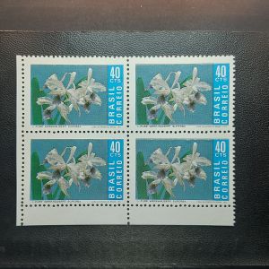 Promoção da Orquidea Brasileira - CO713 - Quadra