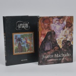 Juarez Machado livro e livro a pintura no Brasil
