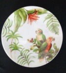 Delicado prato decorativo com fauna e flora brasileira - Diâmetro:  19 cm