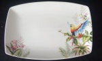Linda travessa em porcelana com decoração em fauna brasileira-  Medidas : 35x24 cm