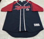 Camisa MLB Minnesota Twins  True Fan Series  com botões  100% polyester  tamanho G ( 59 cm de largura X 78 cm de comprimento)  usada  muito bem conservada