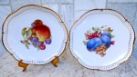 Dois pratos decorativos SCHUMANN ARZBERG /GERMANY esmaltados na cor branca e vitrificados com pencas de frutos em rica policromia , bordas vasadas e fenestradas com ouro. Acompanha suportes  Diãmetro 18 cm.