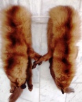 Dois cachecois em pele de raposa na cor castor medindo 70 cm de comprimento.