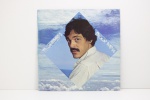 LP - DUCE VIDA - TOQUINHO - 1981  - FOLHETO - APRESENTA ARRANHÕES.