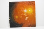 LP - ROBERTO CARLOS - 1977 - ENCARTE - APRESENTA RISCOS E CAPA NO ESTADO.
