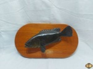 Placa decorativa em madeira com escultura do peixe Badejo em madeira entalhada. Medindo a placa 44cm x 245cm e o peixe 31cm x 15cm.
