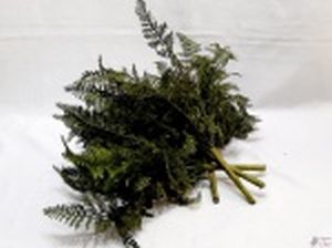 Lote com 4 galhos de flor samambaias artificial decorativas. Medindo em média 35cm de comprimento.