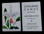CARTÃO COM PROPAGANDA DE REMÉDIO- `` LABORATOIRES DARRASSE``-FRANCE- ILUSTRAÇÃO ORQUÍDEA- TAMANHO POSTAL -COM 3 PICOS