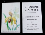 CARTÃO COM PROPAGANDA DE REMÉDIO-`` LABORATOIRES DARRASSE``-FRANCE- ILUSTRÇÃO ORQUÍDEA-TAMANHO POSTAL- COM 3 PICOS