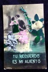 POSTA-ROMANTICO COM CASAL