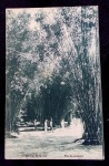 POSTAL-RJ-JARDIM BOTÂNICO-S/USO