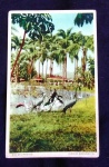 POSTAL-RJ-JARDIM ZOOLÓGICO-S/USO