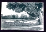 POSTAL-RJ-QUINTA DA BOA VISTA