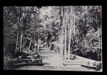 POSTAL-RJ-CORCOVADO-FLORESTA-CIRCULADO 1907