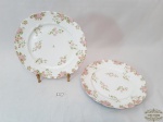 2 Pratos Rasos Floral Porcelana Francesa Limoges Medida:21 cm diametro . 1 apresenta Bicado Borda