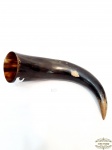 Enfeite   Chifre  de boi  . Medida 30 cm comprimento