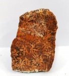 Mineralogia -Riólito Starburst - 5,7 cm