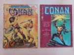 Revista em Quadrinhos A ESPADA SELVAGEM DE CONAN. N° 2. Edição Especial em Cores. Editora Abril (1987). Lombada separada do miolo e com um rasgo na capa./<br> A ESPADA SELVAGEM DE CONAN. N° 5. Edição Especial em Cores. Editora Abril (1989). Bom estado.