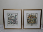 "Fruteiras" Par de reproduções de gravuras impressas na Itália, 57 x 50cm. Moldura envidraçada.