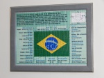 "Bandeira do Brasil" reprodução com denominação das estrelas da bandeira. 36 x 46cm. Moldura com vidro.