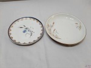 Lote de 2 pratos decorativos em porcelanas diversas. Medindo o maior 21,5cm de diâmetro.