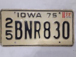 Linda placa antiga americana de automóvel do estado de Iowa, 1975, ultimo uso em 1977. medindo 15,5 x 30,5 cm