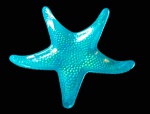 Estrela do mar em espesso vidro e ricos acabamentos. Medida 17x25,5 cm.
