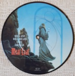 MEAT LOAF  Rock And Roll Dreams Come Through / Wasted Youth. Compacto PICTURE DISC IMPORT UK 1993 EXCELENTE. Disco em excelente estado.