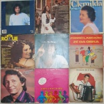 Nove discos de vinil títulos diversos.