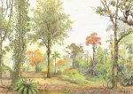 Maurício de Mari Mello Barbato (1963 - Rio de Janeiro/RJ), "Serra dos Órgãos no Planalto". Técnica mista sobre papel (lápis de cor, caneta aquarela, aquarela). Med. 21,0 x 29,7 cm. Assinado. Nota Biográfica: Arquiteto formado pela Santa Úrsula e pintor autodidata. Frequentou diversos cursos para aperfeiçoamento e conhecimento técnico de desenho e pintura entre eles, na Prat University de N. Y. Participou de mostras coletivas na extinta Galeria do SESC - Copacabana, Na Galeria HB195, entre outras. Participação em exposições e leilões internacionais: ArtesPremiado com Menção Honrosa na exposição Homenagem a Salvador Dalí no Museu do Telefone em 1987.Flamengo, Rio de Janeiro;Exposição permanente sobre Biodiversidade no Museu de História Natural da Quinta da Boa Vista com três telas(exposição inaugurada em 1992), perdidas no incêndio de 2018. São Cristóvão, Rio de Janeiro;Exposição Coletiva no Venetian  Sands Expo Center  Las Vegas  Nevada de 12 a 15 de outubro de 2000;Exposição Coletiva Hiper no SESC Rio de Janeiro em março de 2000;Exposição Universidarte VIII dezembro de 2000  Campus Tom Jobin  Galeria Mira Schendel;Exposição no Instituto dos Arquitetos do Brasil ímaginatrium, abril de 2001 (coletiva);Exposição Poemas Visitados versão Preto e Branco SESC Copacabana  janeiro de 2000;Exposição Rio passado a Preto e Branco (coletiva) - 2002 - Galeria Matias Marcier - Shopping da Gávea  Riode janeiro;Exposição A Cara do Rio presente nos anos 2004, 2005, 2006, 2007, 2008 e 2010 (trabalhos publicados comdestaque no Jornal do Brasil);Exposições pela Maurício Pontual Galeria de Artes:Cultural Sensations / Realistic Painters of Nature, exposição mundial realizada pela Coca-Cola, com obras de Barbato e Eduardo Bretas em Atlanta  Geórgia  USA, setembro de 2003; International Art and Antique Expo 2006 no Madinat Jumeirah  Dubai  Emirados Árabes 2006;Exposição individual na Maurício Pontual Galeria de Arte  Vida e Floresta - 2 a 20 de setembro de 2011  Acrílicos, Óleo e Gouaches;Expo: ART CD Washington Convention Center Hall-E Miami, USA -2007;Participação na mostra de Arte Brasil do Itamaraty do Rio de Janeiro, em maio de 2011;Participação no XIV Leilão de Pratos Pintados à Mão do Museu Lasar Segall em São Paulo / SP. Leilão Pratospara Arte, 2011;Professor do Minicurso Pintura de Paisagens e como expositor com 1 obra na exposição: ProduçãoContemporânea de Ilustração Cientifica no IV Encontro Nacional de Ilustradores Científicos em novembro de2013;Desde 2004, tem suas obras expostas na Maurício Pontual Galeria de Arte, no Shopping Cassino Atlântico, em Copacabana, no Rio de Janeiro.Participações em leilões:Sotherbys  New York (Latin American Art  Nov 20 & 21, 2006);Sotherbys  New York ( Latin American Art  Nov 20 & 21, 2007);Christies  New York (Latin American Sale  May 26 & 27, 2010);Sotherbys  New York ( Latin American Paintings  November 16 & 17, 2010);Christies  New York (Latin American Art  May 28, 2014);Christies  New York (Latin American Art  Nov 21, 2015);Christies  London (Interiors  Aug 17, 2016);Christies  London (Interiors  Nov 23, 2016);Christies  London (Interiors  Jan 11, 2017);Christies  New York (Latin American Art  May 24 & 25, 2017);Christies  London (Interiors  Jun 14, 2017);Christies  London (Interiors  Sep 12 & 13, 2018);Christies  London (Latin American Art Online - Jul 21 & Ag 4, 2020).