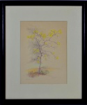 M. Leão (Artista não identificado), "Estudo: Ipê". Técnica mista sobre papel. Assinada. Datada 1993 e localizado B. Aliança.Presença de pequenos pontos de acidez. No Estado. 23,5 x 32 cm (obra); 45 x 53 cm (moldura). Coleção Particular Maria Inez e Alfredo Souto de Almeida - Rio de Janeiro/RJ.