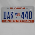 Placa americana, Florida, em homenagem aos veteranos de guerra, Salutes Veterans, alumínio, 15,5 x 30, 5 cm