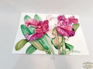 Obra pintura aquarela sob papel canson assinadas luis Antonelli representando orquideas. medida: 29,7 cm x 42 cm.