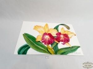Obra pintura aquarela sob papel canson assinadas Luis Antonelli representando orquideas. medida: 29,7 cm x 42 cm.
