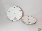 Jogo 5 Pratos Rasos Porcelana Tcheca Floral Friso Ouro  . Medida: 25 cm de diametro