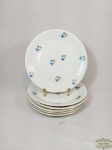 Jogo de 6  Pratos Rasos Porcelana Floral Renner . Medida 25 cm diametro