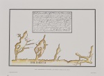 ALEXANDRE RODRIGUES FERREIRA (1756 - 1815) - Rara prancha do famoso naturalista, em sua viagem a Amazônia que durou de 1783 a 1792, retratando em desenhos a Arquitetura, os implementos e a fauna de época. Sendo esta da Carta Hidrográfica do Rio Solimões, Lago Mamiá e Malocas dos Muras. Em reprodução. Med: 37 x 27cm