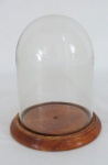 Redoma em vidro translúcido com base em madeira torneada. Med. 19 x 12 cm.
