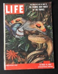 Revista Life - Edição de 18 Outubro de 1954 - Edição Internacional. Em bom estado - apresenta adesivo na borda. Volume 17 numero 8.