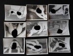 COLECIONISMO - Lote com 9 fotografias eróticas  antigas em preto e branco. Med. 9cm x 12cm