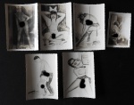 Colecionismo - Lote com 6 Fotografias pornográfica Pin up em preto e branco - Med. 6cm x 8,5cm
