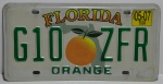 Placa da Flórida original em metal 30x16